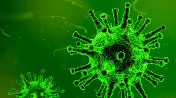 Cuánto tiempo viven virus y bacterias fuera del cuerpo