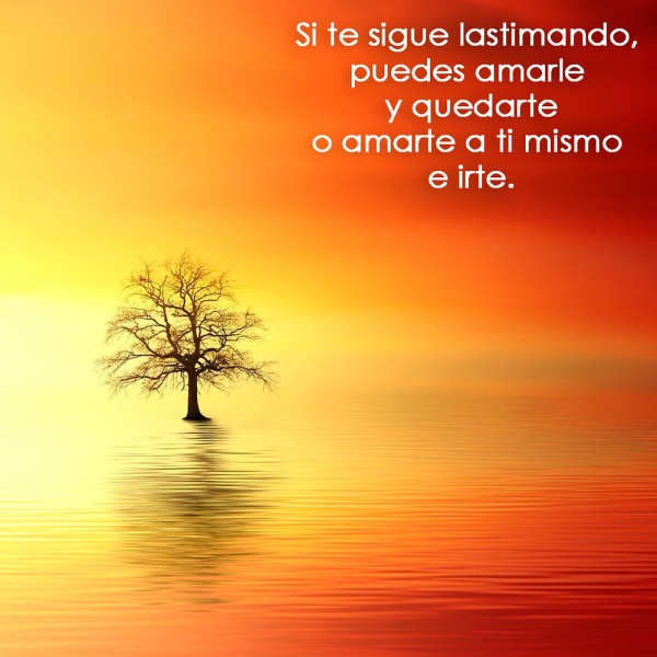 50 frases y citas para animar a alguien que se siente herido