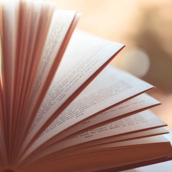 ¿Cuáles son las figuras literarias? Ejemplos de figuras retóricas