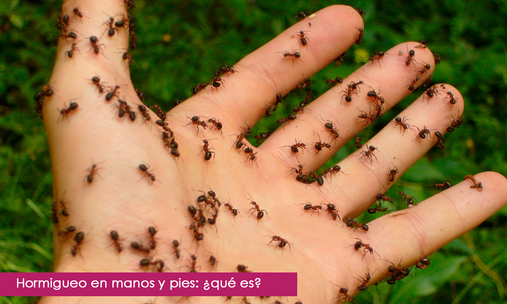 hormigueo en manos y pies