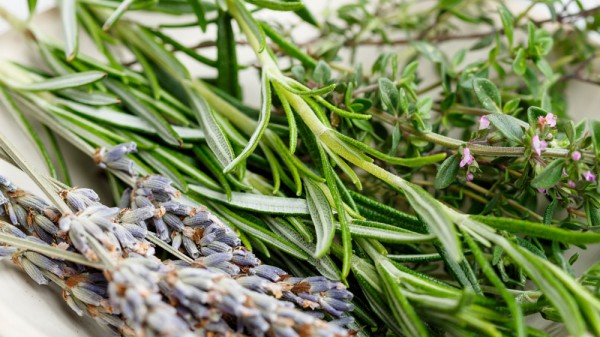 Para qué sirve el alcohol de romero y cómo elaborarlo en casa de forma fácil y rápida