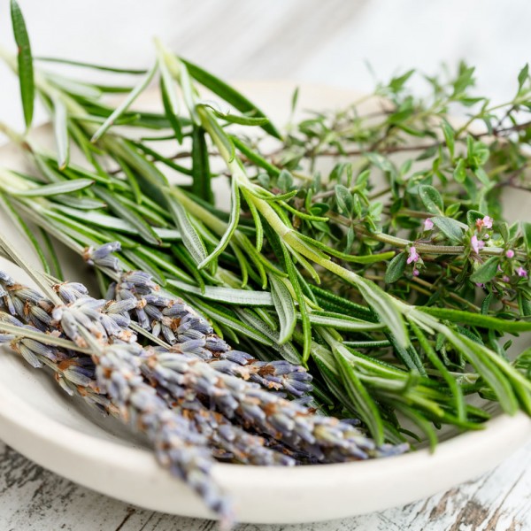 Para qué sirve el alcohol de romero y cómo elaborarlo en casa de forma fácil y rápida