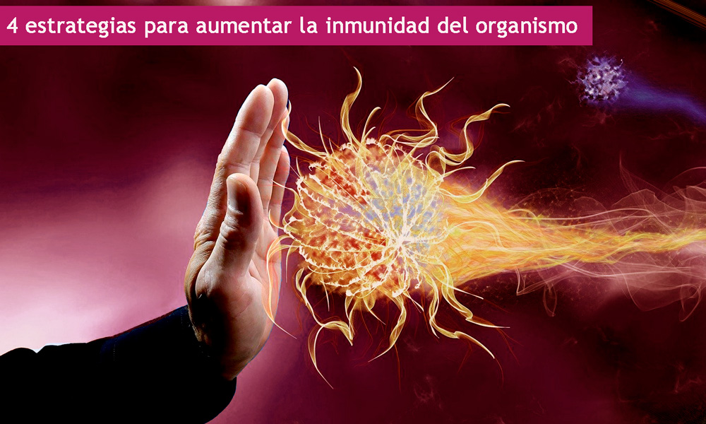 cómo aumentar la inmunidad del organismo