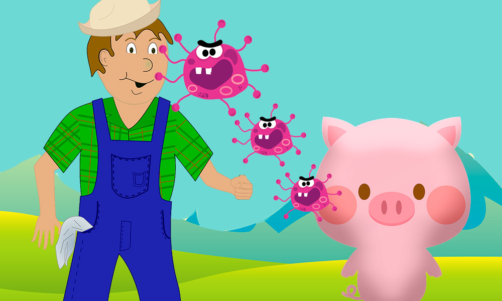 como pasan los virus de animales a humanos