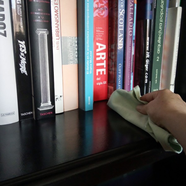 Cómo reducir el polvo en casa cuando está por todas partes