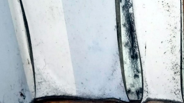 Qué problemas de salud causa el moho presente en el hogar