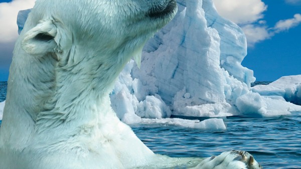 20 fascinantes curiosidades del Polo Norte