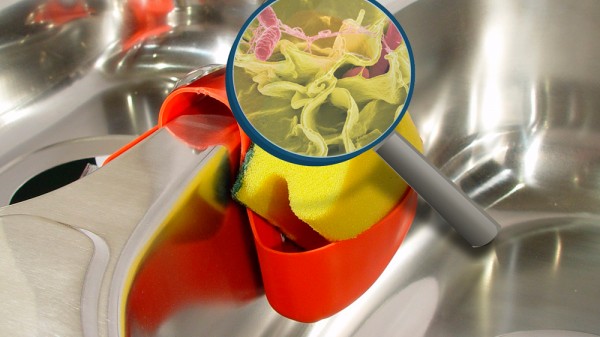 Cuándo reemplazar el estropajo de cocina (y lo que puede suceder si no lo haces)