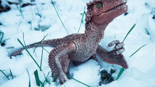 14 increíbles curiosidades sobre los dinosaurios polares