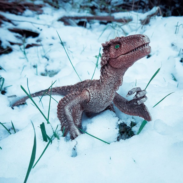 14 increíbles curiosidades sobre los dinosaurios polares