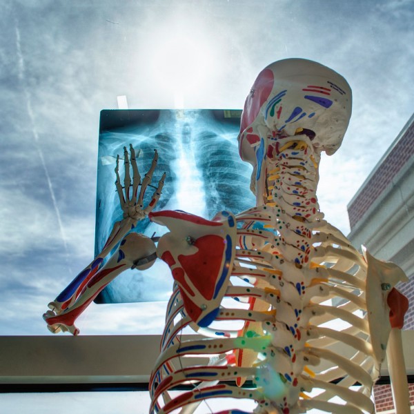 21 fascinantes curiosidades del esqueleto humano