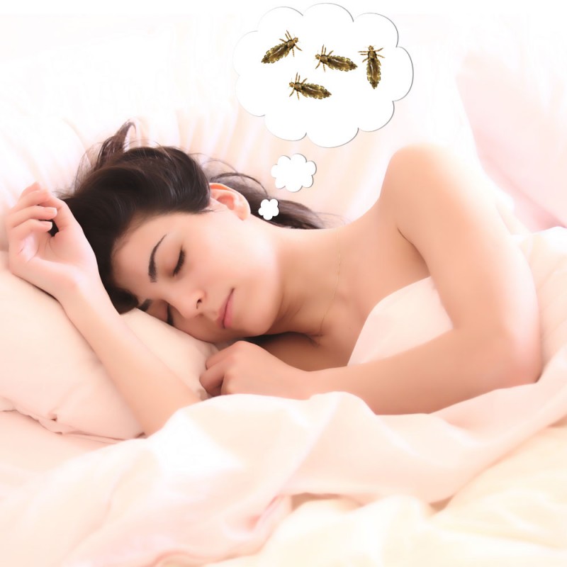 Qué significa soñar con piojos o con matarlos. Interpretación de los sueños