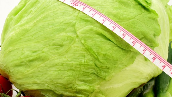 Cuántas calorías tiene una lechuga. Aporte calórico de una ensalada