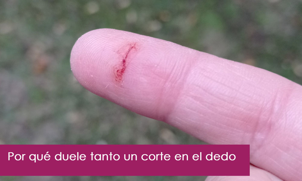 por qué duele tanto un corte en el dedo por papel