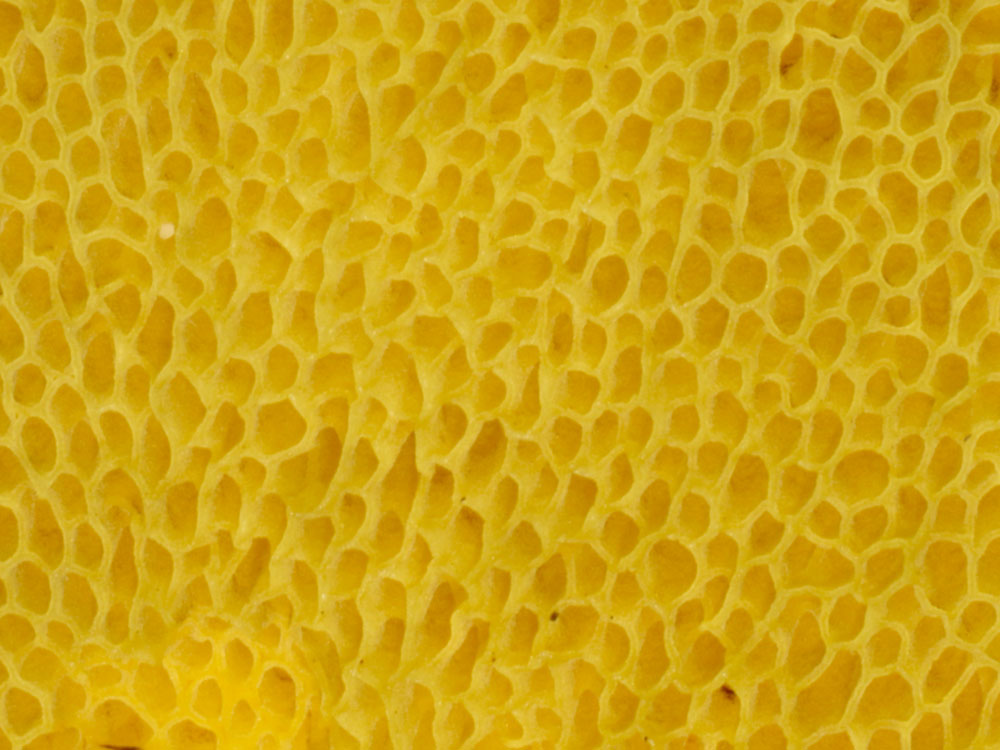 Beneficios de la miel