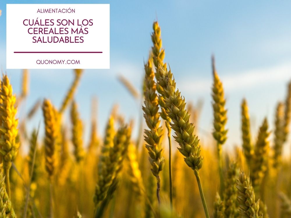 los cereales más saludables