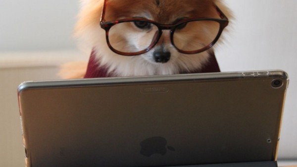 Cómo hacer un vídeo en Canva de forma fácil y rápida