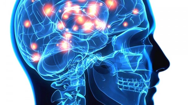 34 curiosidades del cerebro humano que te dejarán alucinado