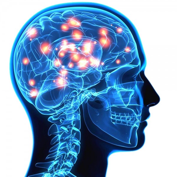 34 curiosidades del cerebro humano que te dejarán alucinado