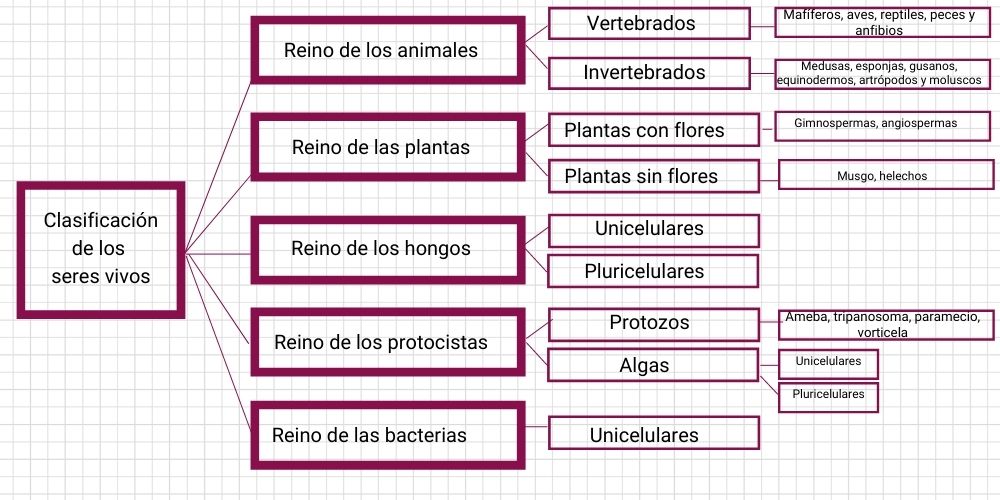 ejemplo de esquema