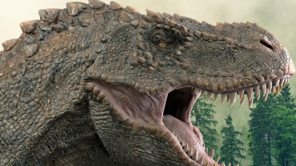 16 preguntas sobre los dinosaurios: ¿cuánto sabes sobre los grandes saurios?