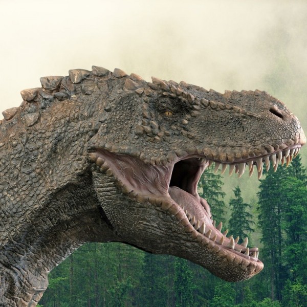 16 preguntas sobre los dinosaurios: ¿cuánto sabes sobre los grandes saurios?