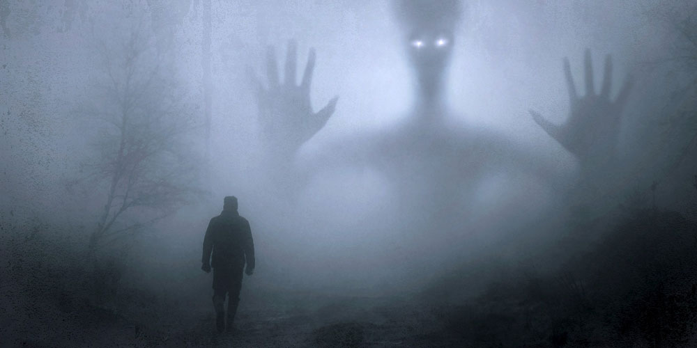 bosque encantado para Halloween 2018