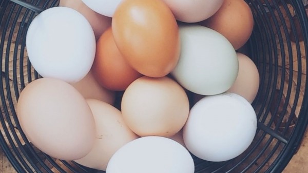 Huevos marrones vs huevos blancos, ¿cuál es la diferencia?