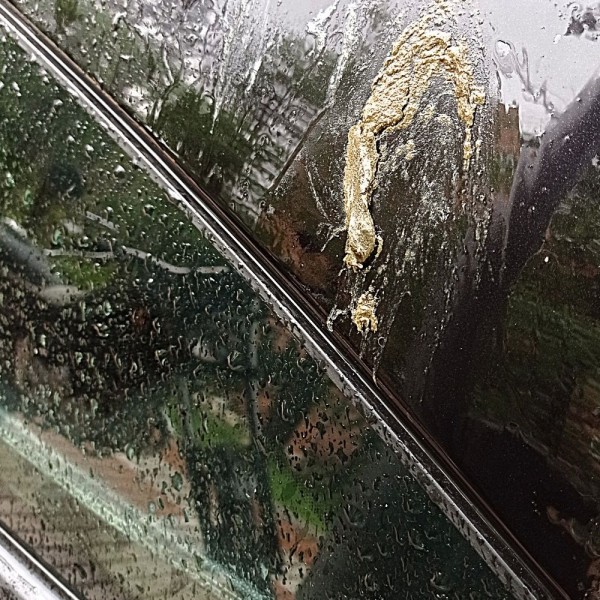 Cacas de pájaro en tu coche, ¿pueden realmente dañar la pintura?