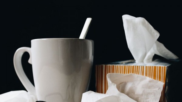 Cuáles son las enfermedades causadas por virus más comunes