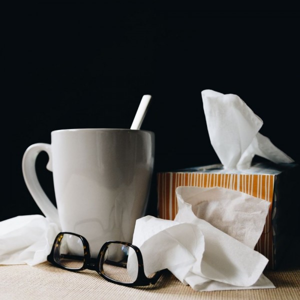 Cuáles son las enfermedades causadas por virus más comunes