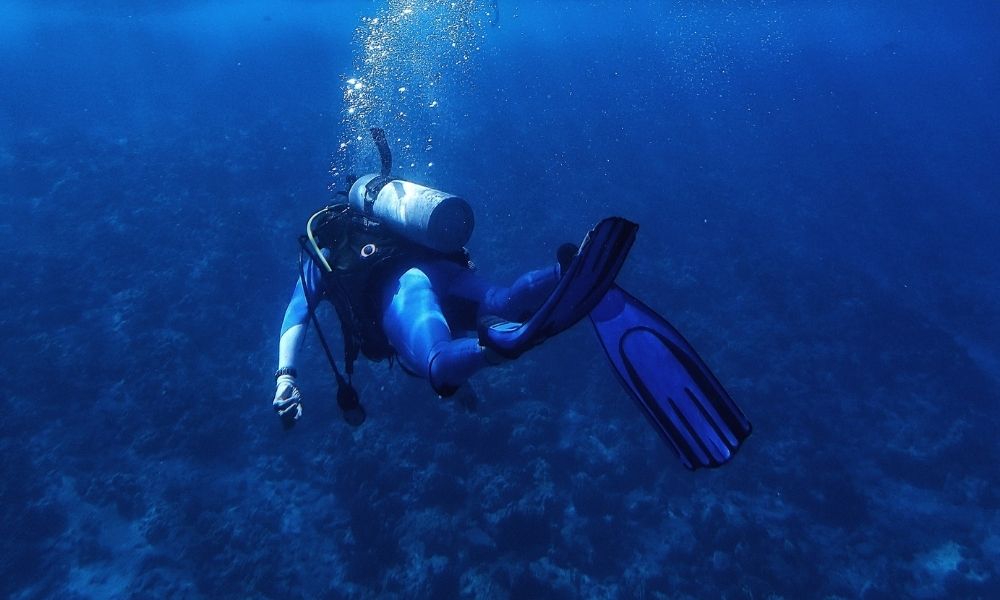 hechos sobre los océanos