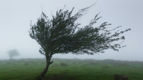 18 fascinantes curiosidades sobre el viento