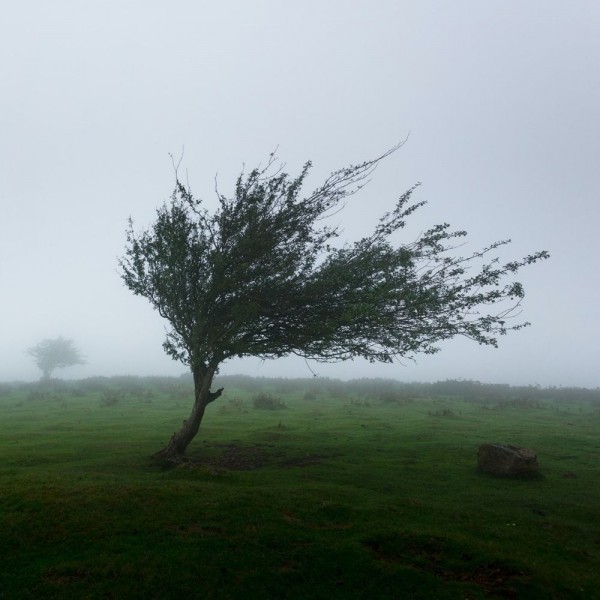 18 fascinantes curiosidades sobre el viento