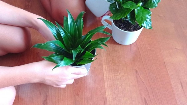Qué aprenden los niños con la jardinería: una actividad muy beneficiosa en la infancia