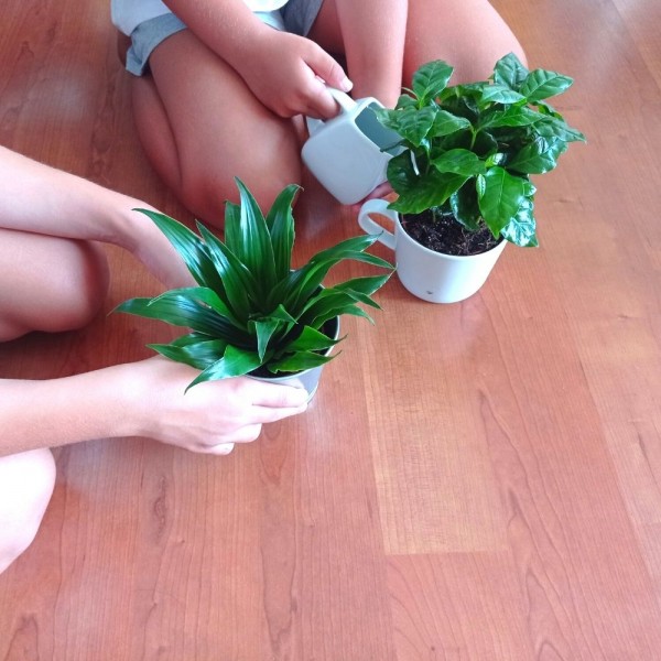 Qué aprenden los niños con la jardinería: una actividad muy beneficiosa en la infancia