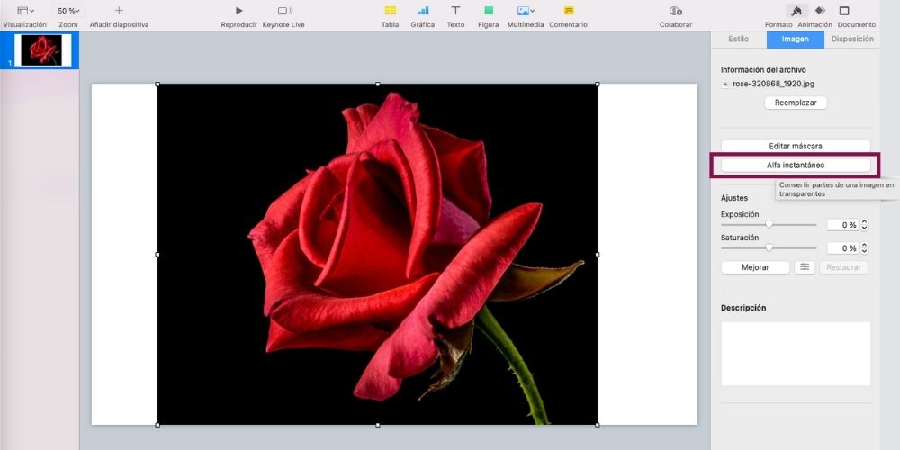 eliminar fondo con keynote, paso 1
