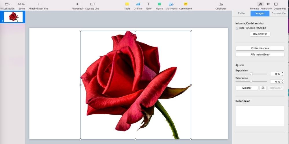 eliminar fondo con keynote, paso 3