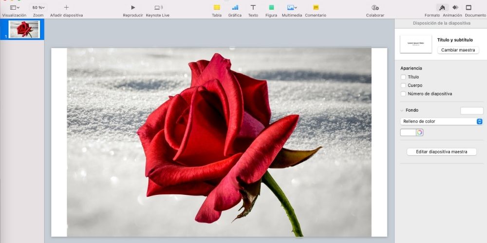 eliminar fondo con keynote, paso 4