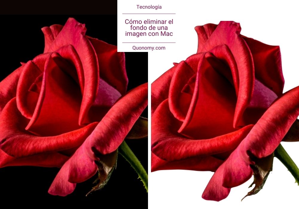 borrar el fondo de una foto en mac