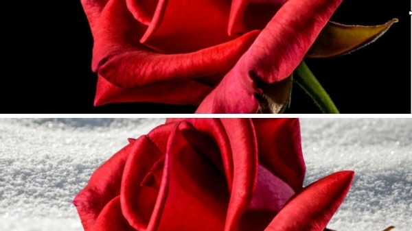 Cómo eliminar el fondo en una foto con Mac (3 trucos facilísimos)