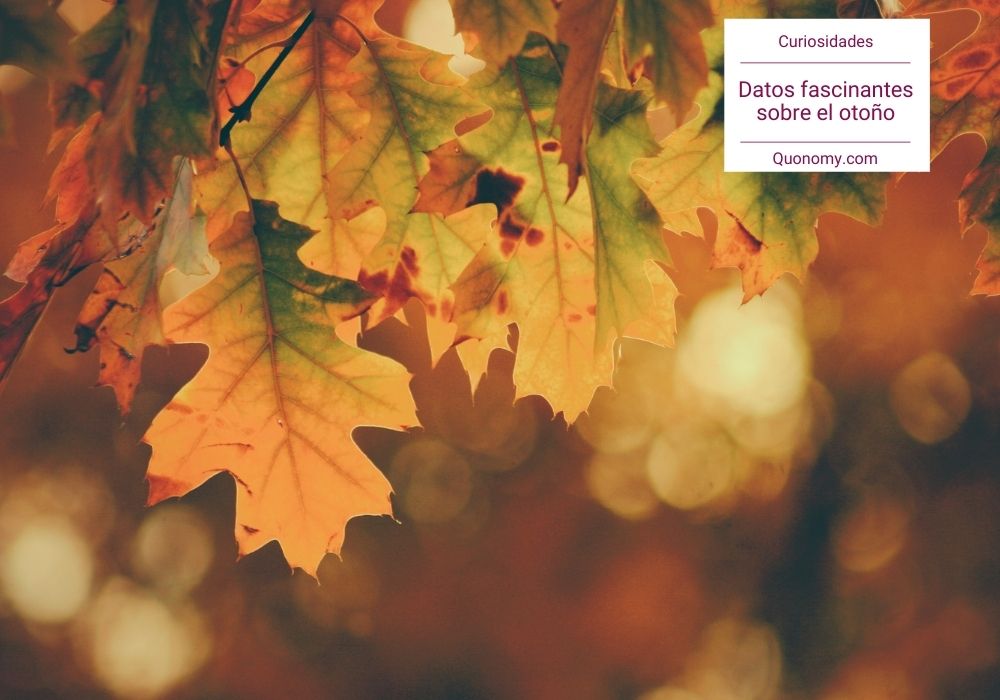 curiosidades del otoño