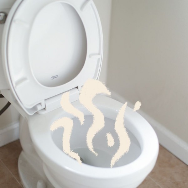 Mal olor en el inodoro: por qué ocurre y cómo evitarlo