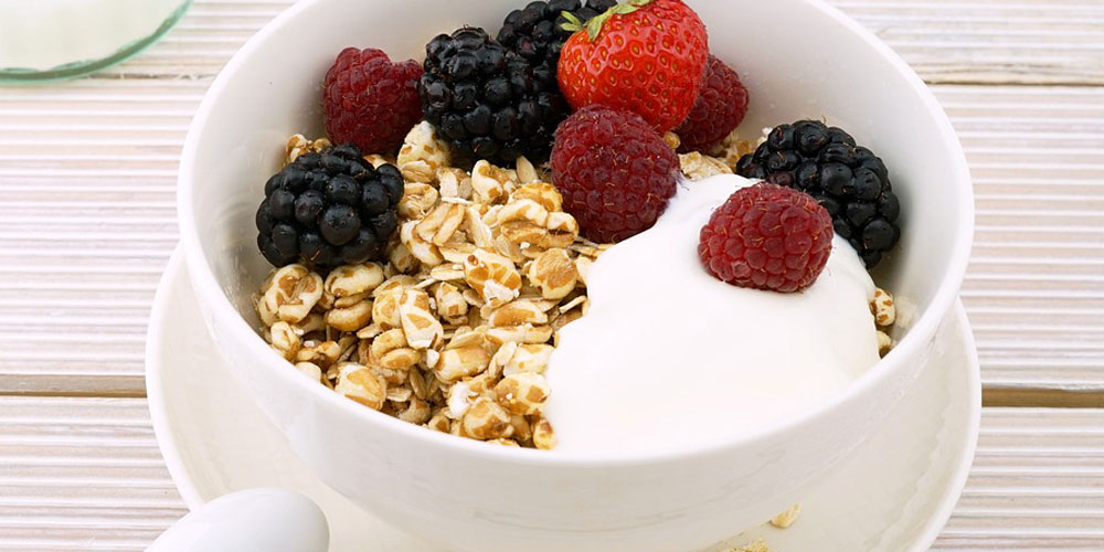 yogur de avena