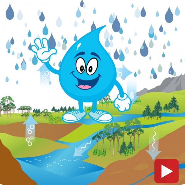 El ciclo del agua: Vídeo educativo para niños