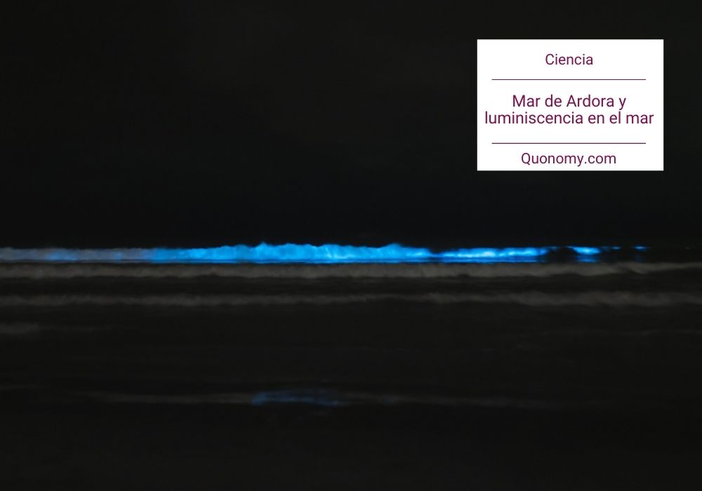 Mar de Ardora y bioluminiscencia