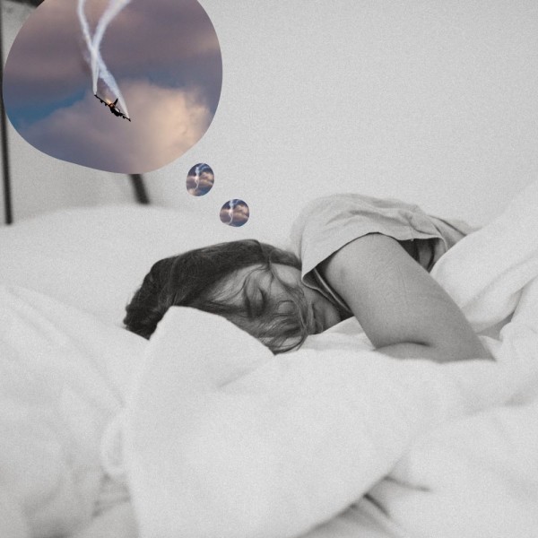 Qué significa soñar que se cae el avión en el que viajas