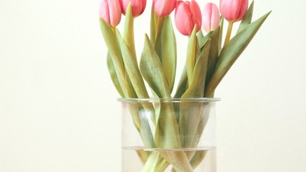 8 trucos para que las flores te duren frescas más tiempo