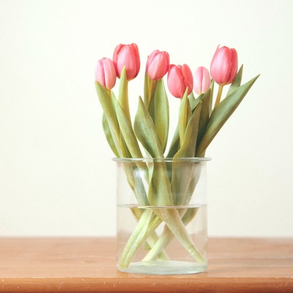 8 trucos para que las flores te duren frescas más tiempo