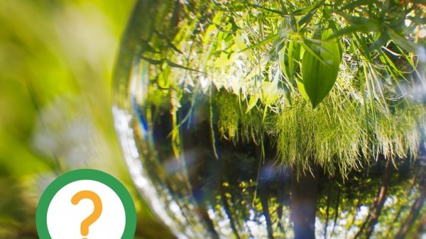 22 preguntas de Ciencias Sociales para niños de Primaria (con respuestas)